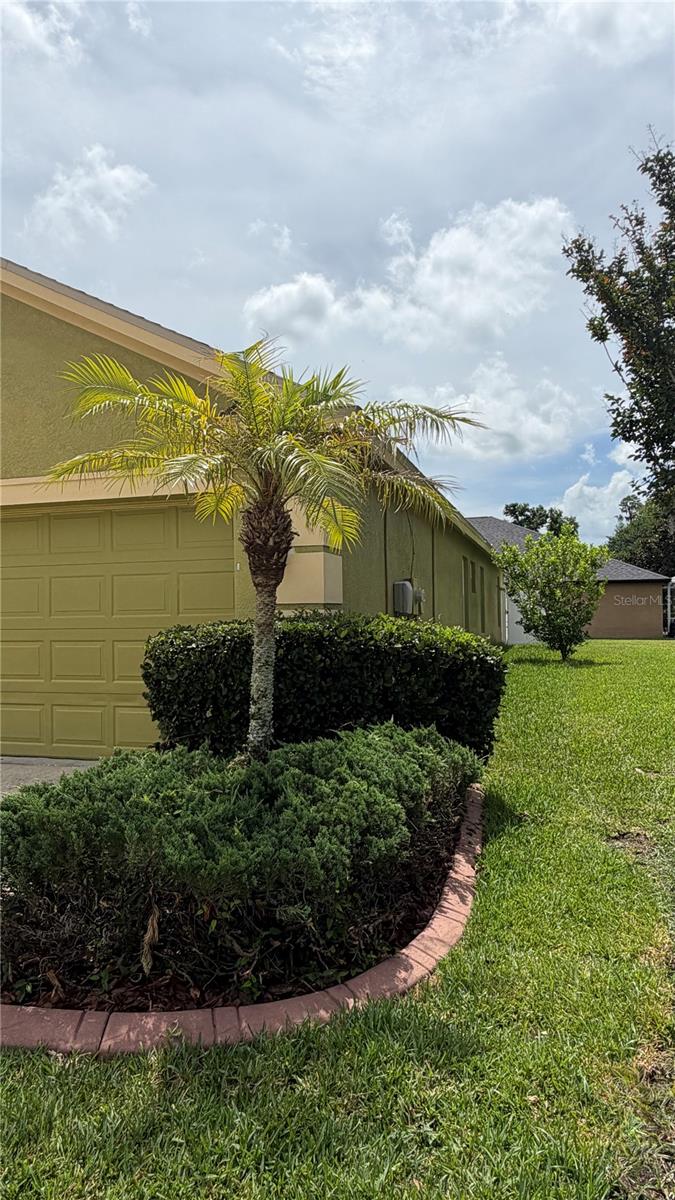 19640 BERGENFELD DR, LAND O LAKES, FL, 34638