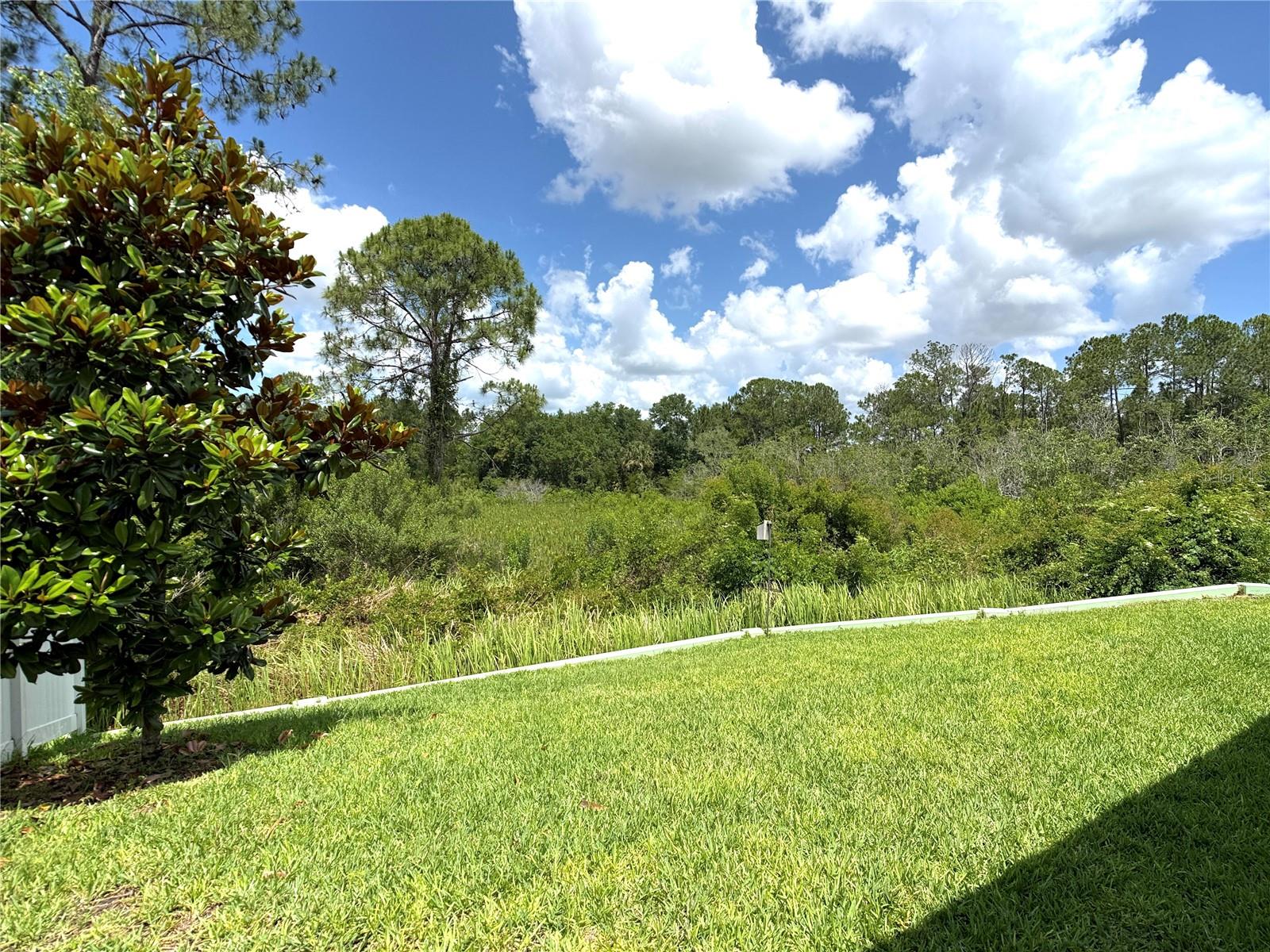 1337 CASCADE DR, DAVENPORT, FL, 33837