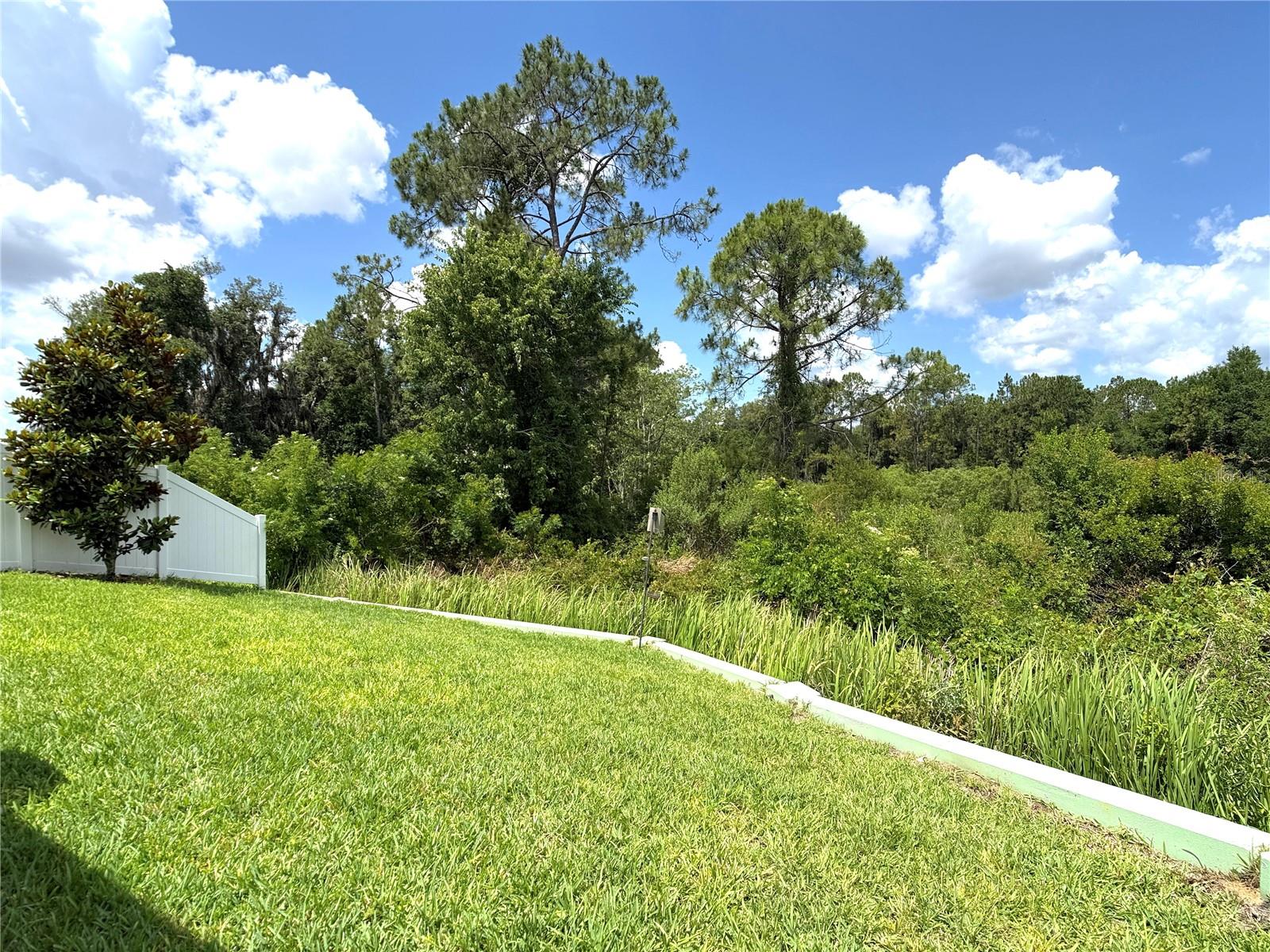 1337 CASCADE DR, DAVENPORT, FL, 33837