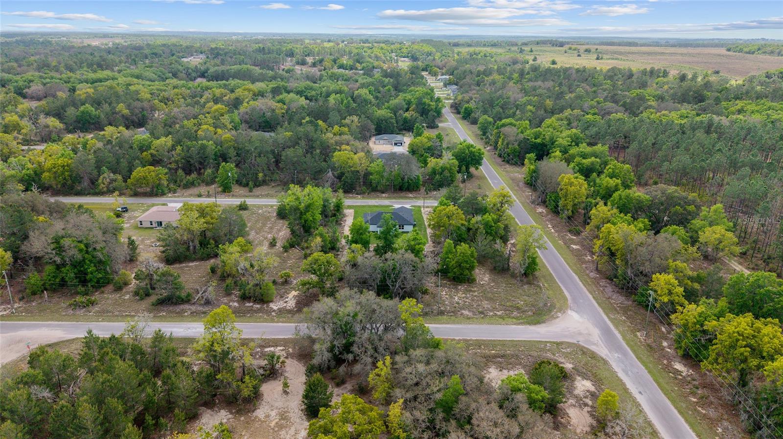 5 MALAUKA LOOP TRAK, OCKLAWAHA, FL, 32179