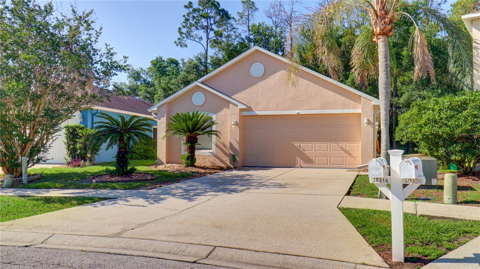 30316 DOUBLE DR, WESLEY CHAPEL, FL, 33545