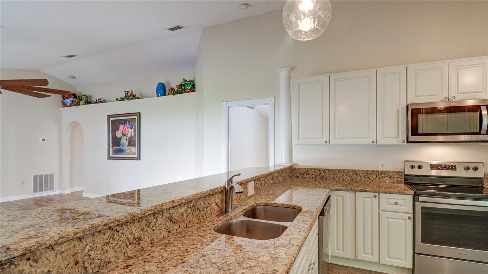 30316 DOUBLE DR, WESLEY CHAPEL, FL, 33545