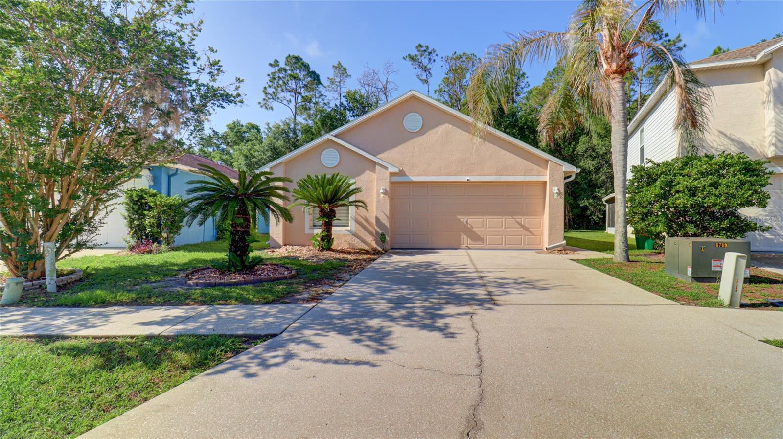 30316 DOUBLE DR, WESLEY CHAPEL, FL, 33545