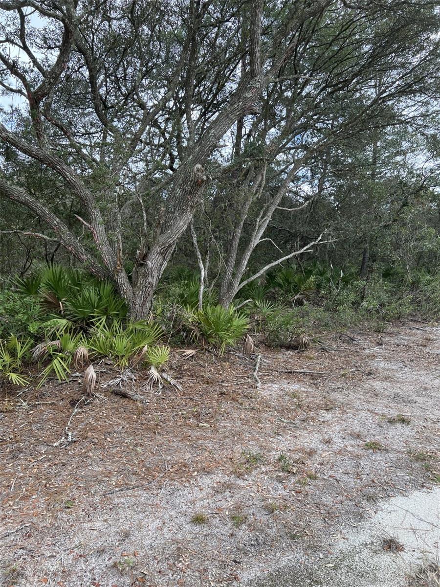 0 NE 144 CT, FORT MC COY, FL, 32134