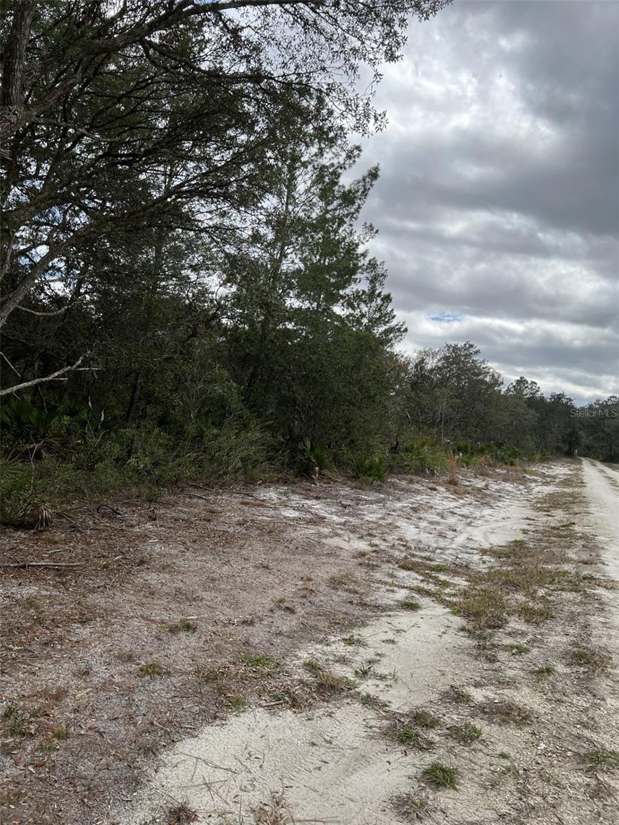 0 NE 144 CT, FORT MC COY, FL, 32134