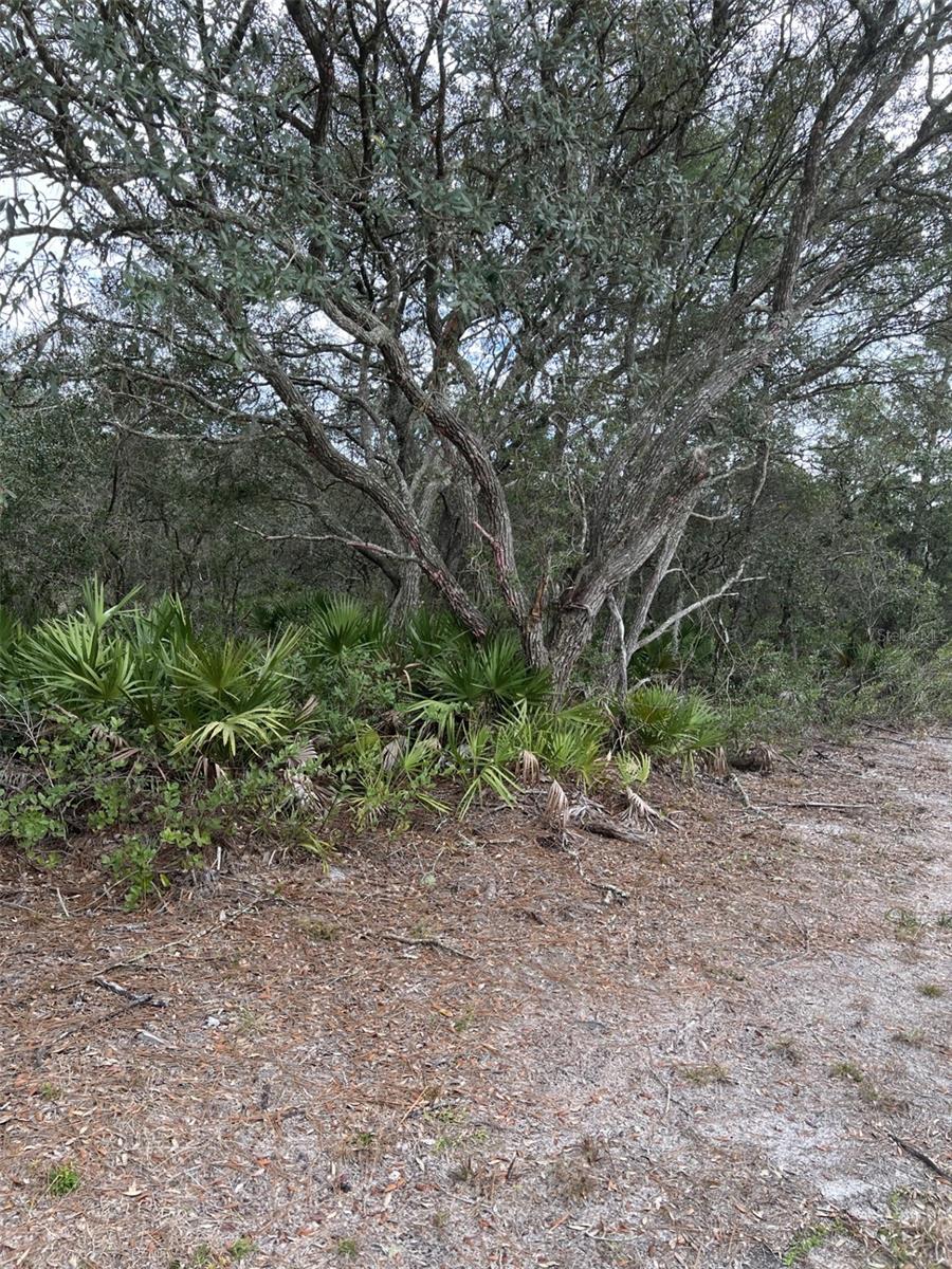 0 NE 144 CT, FORT MC COY, FL, 32134