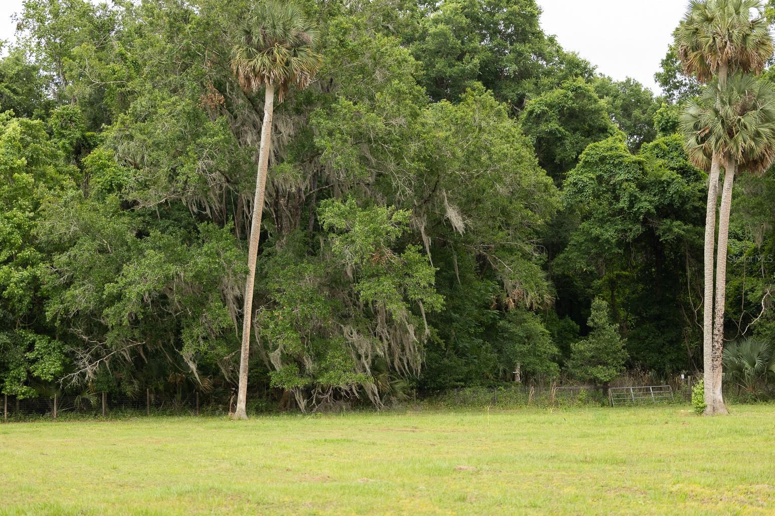 18833 NE 24TH AVE, CITRA, FL, 32113