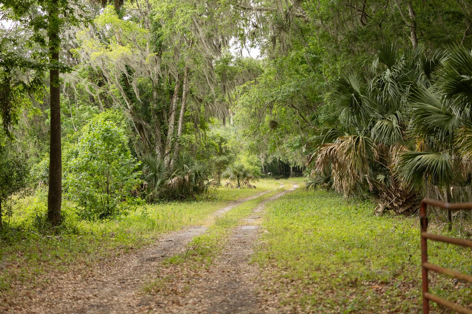 18833 NE 24TH AVE, CITRA, FL, 32113