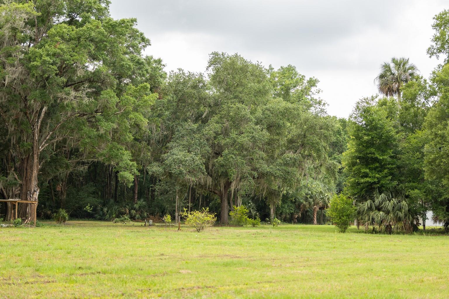 18833 NE 24TH AVE, CITRA, FL, 32113