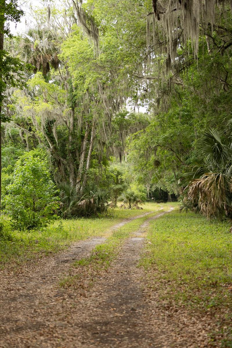 18833 NE 24TH AVE, CITRA, FL, 32113