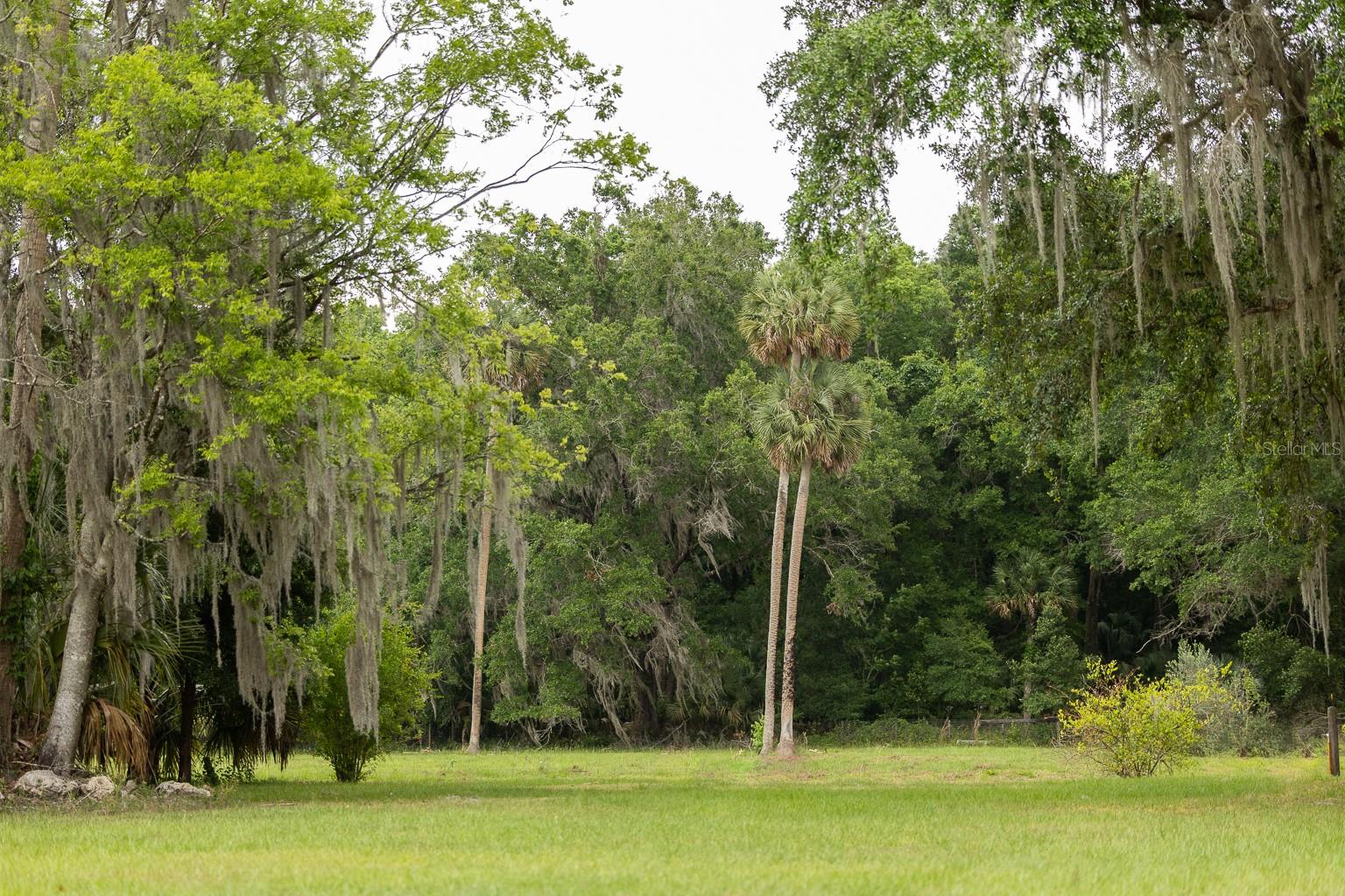 18833 NE 24TH AVE, CITRA, FL, 32113