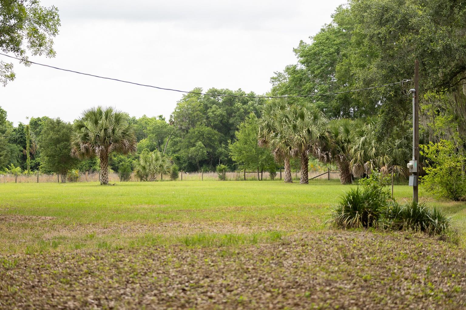 18833 NE 24TH AVE, CITRA, FL, 32113