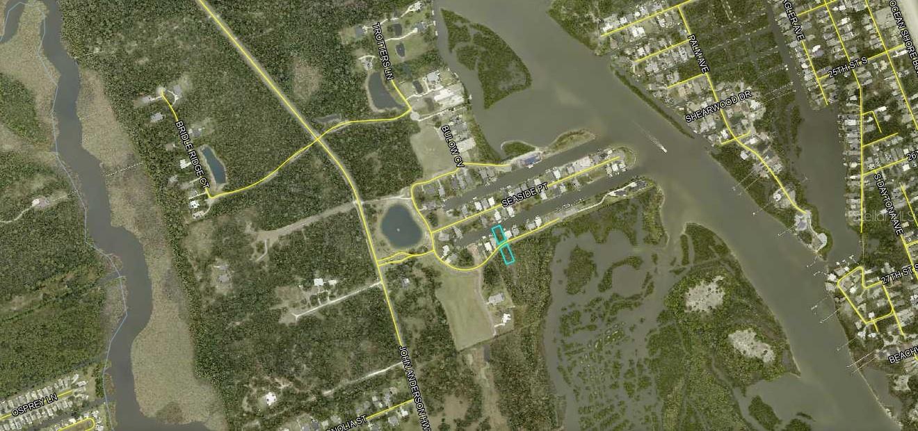 223 SEASIDE LANDINGS DR S, FLAGLER BEACH, FL, 32136