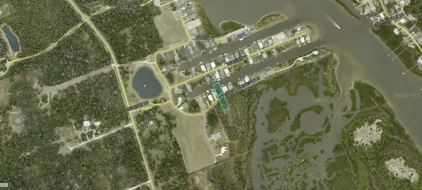 223 SEASIDE LANDINGS DR S, FLAGLER BEACH, FL, 32136
