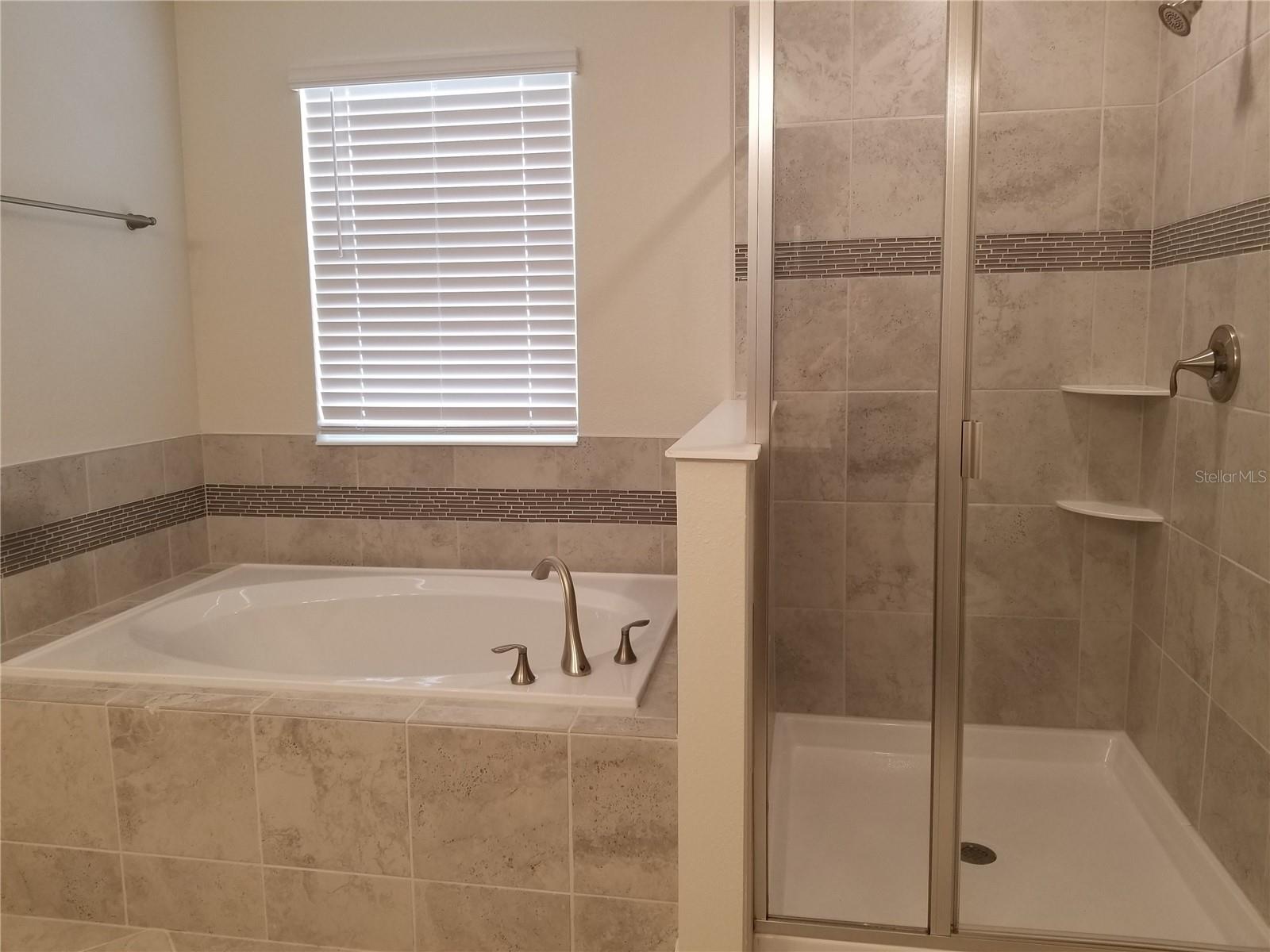 11142 LONGLEAF WOODS DR, ORLANDO, FL, 32832