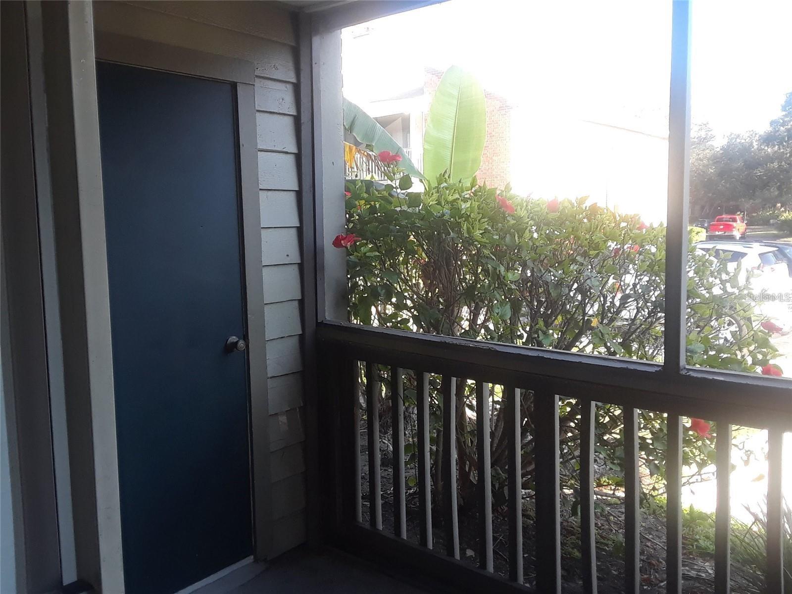 9100 DR MARTIN LUTHER KING JR ST N #1411, ST PETERSBURG, FL, 33702