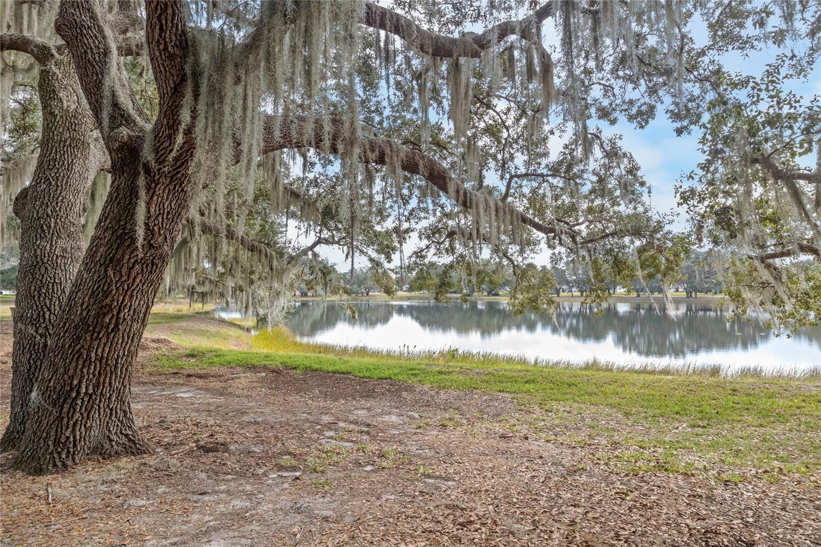 6419 BORG ST, LEESBURG, FL, 34748
