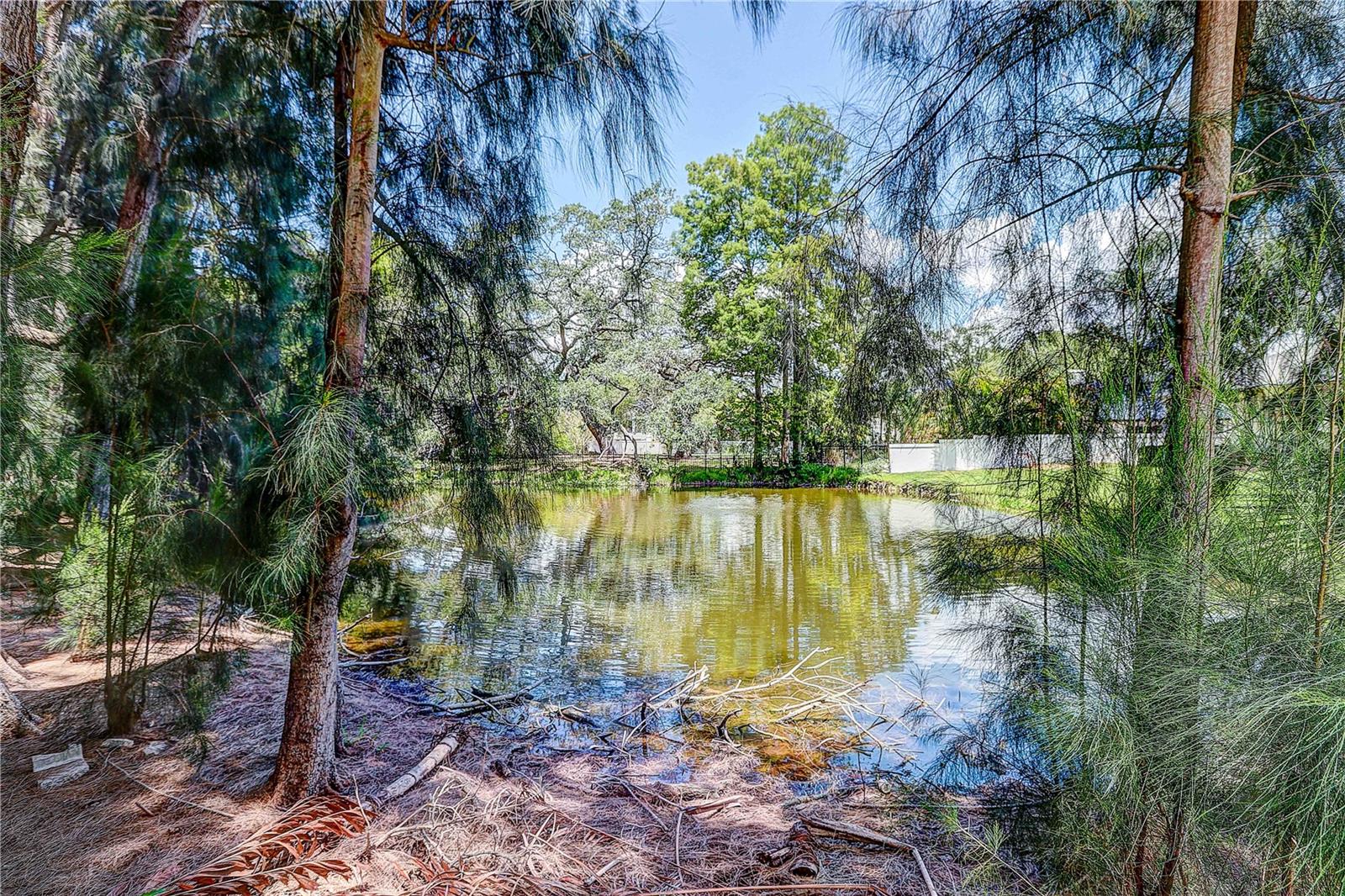 4621 W SAN JOSE ST, TAMPA, FL, 33629