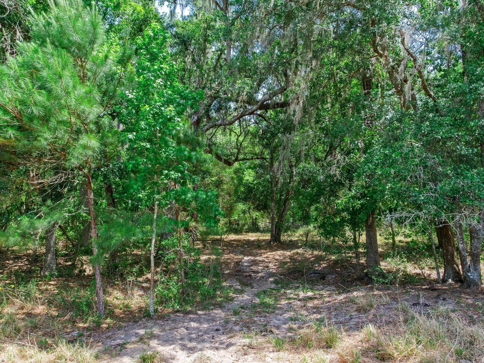 SPRING LAKE HWY, BROOKSVILLE, FL, 34602