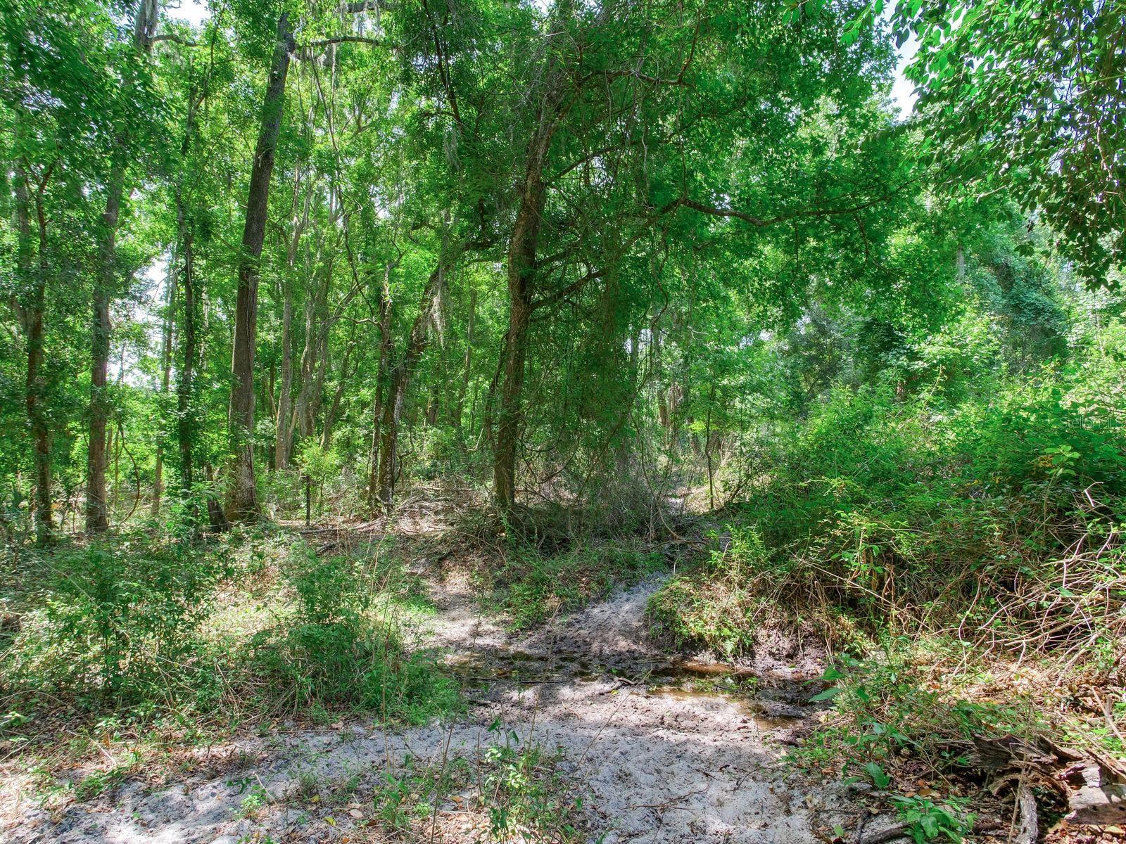 SPRING LAKE HWY, BROOKSVILLE, FL, 34602