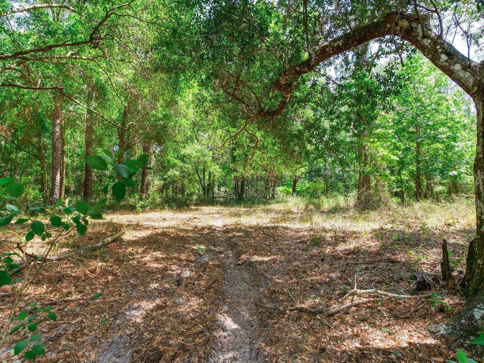 SPRING LAKE HWY, BROOKSVILLE, FL, 34602