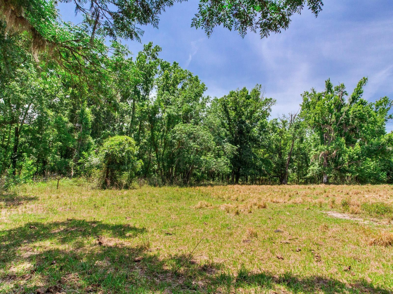 SPRING LAKE HWY, BROOKSVILLE, FL, 34602