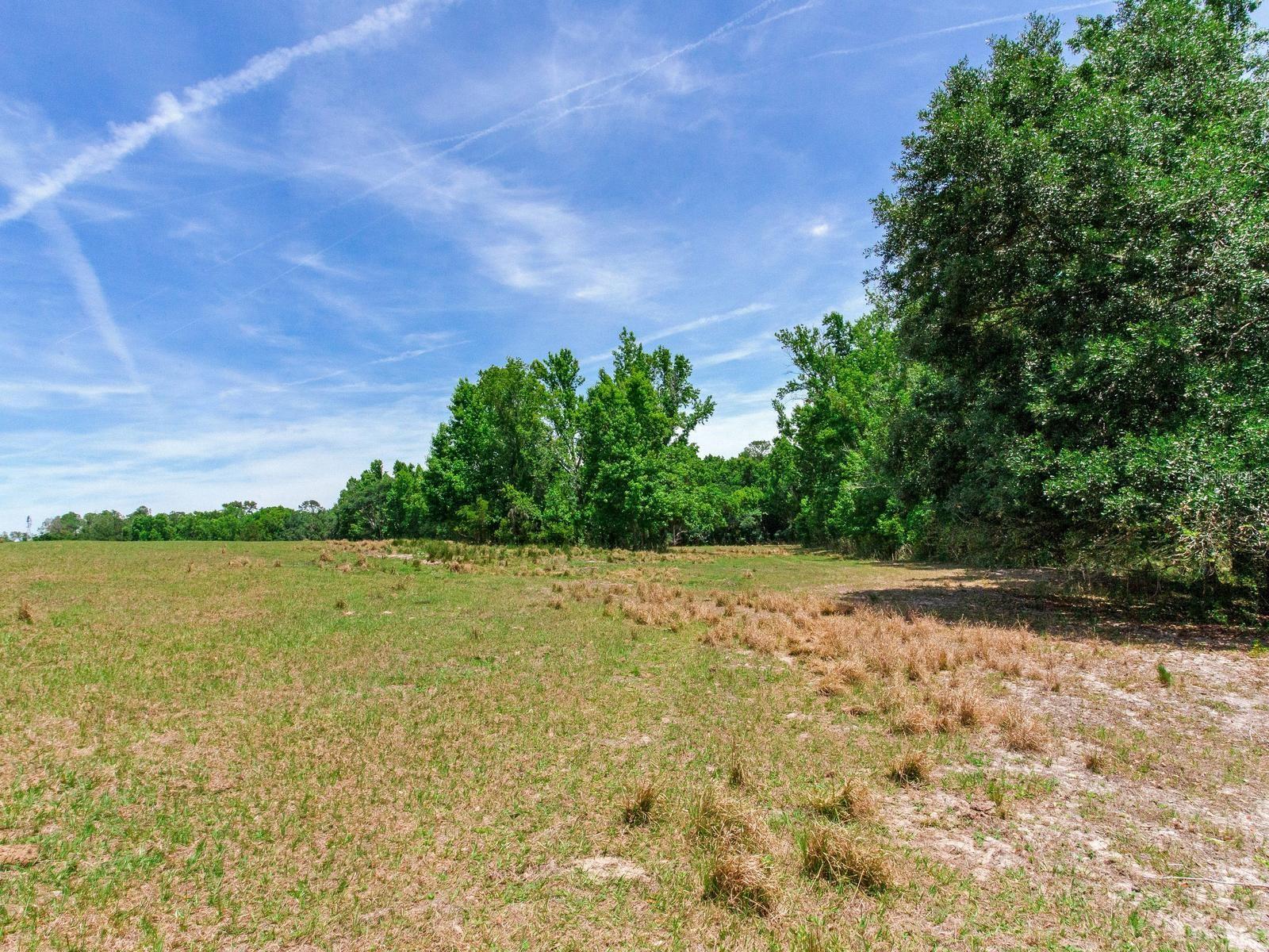 SPRING LAKE HWY, BROOKSVILLE, FL, 34602
