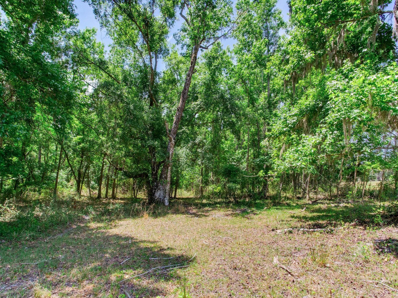SPRING LAKE HWY, BROOKSVILLE, FL, 34602