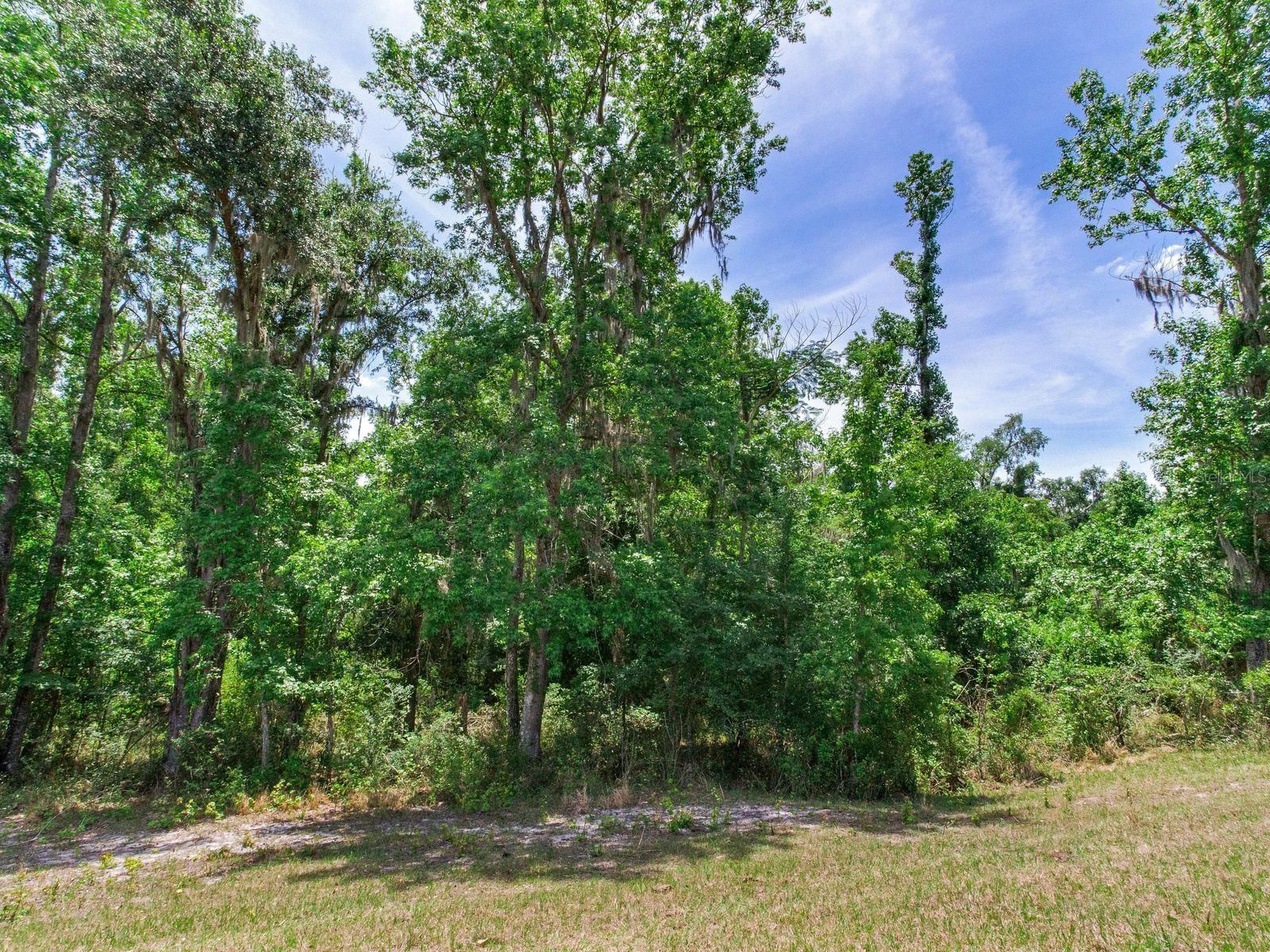 SPRING LAKE HWY, BROOKSVILLE, FL, 34602
