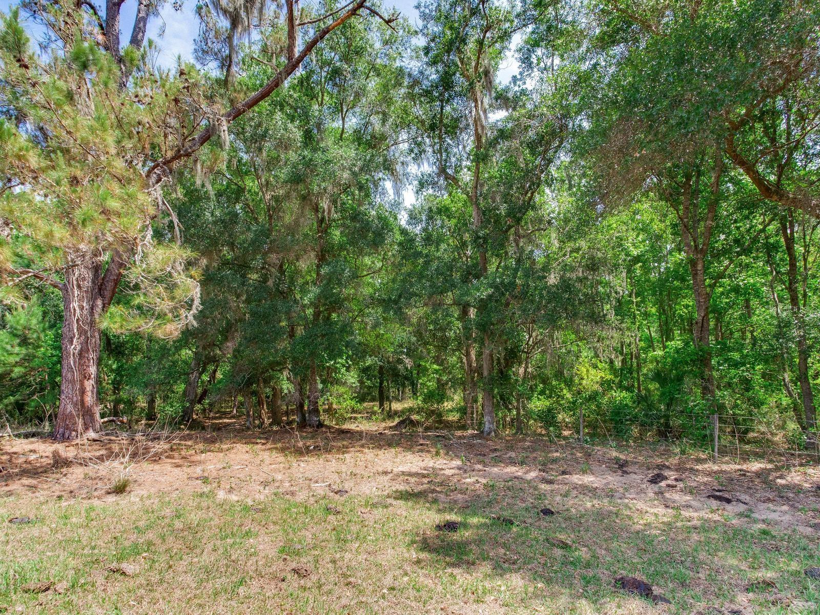 SPRING LAKE HWY, BROOKSVILLE, FL, 34602