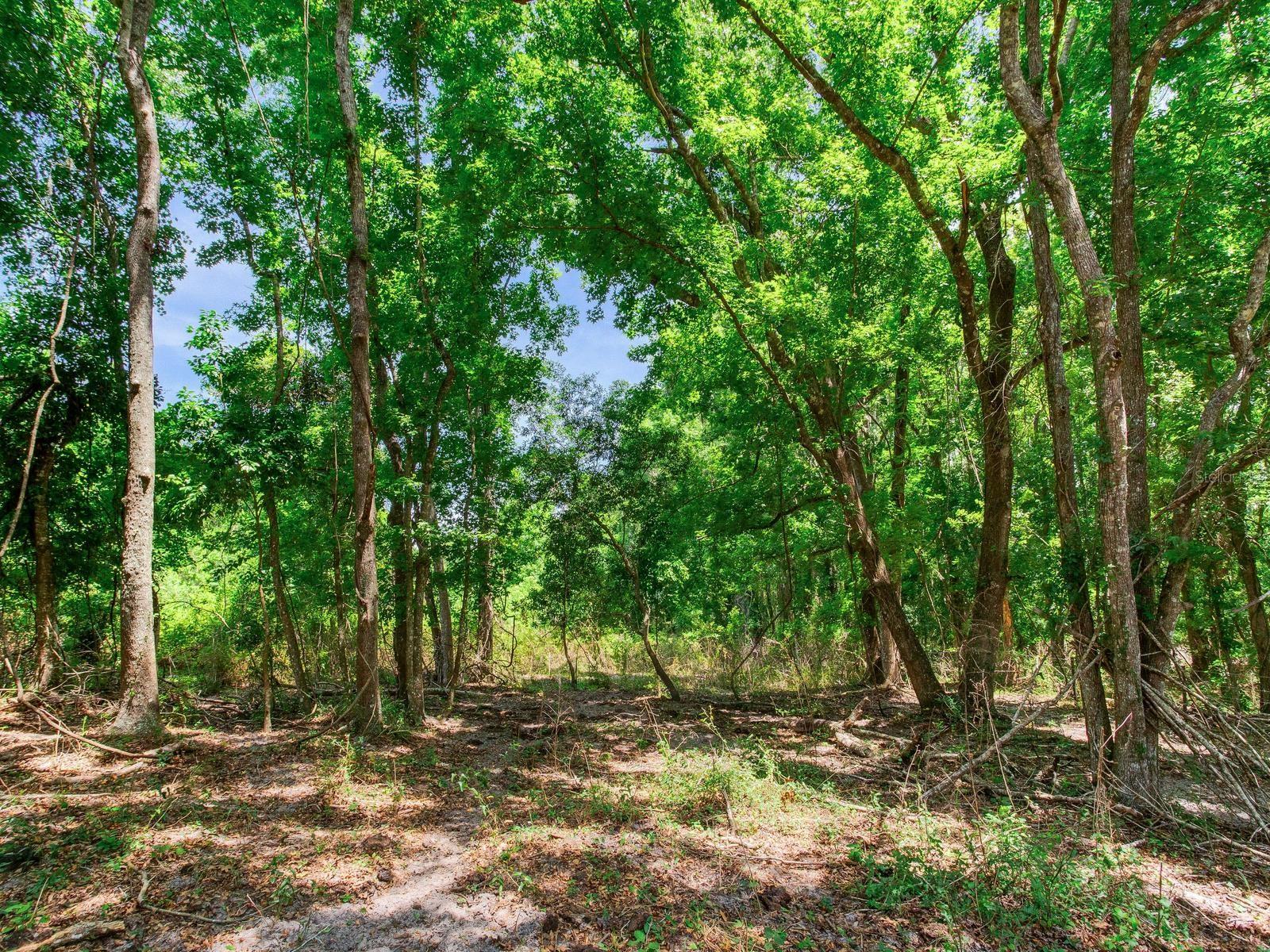 SPRING LAKE HWY, BROOKSVILLE, FL, 34602