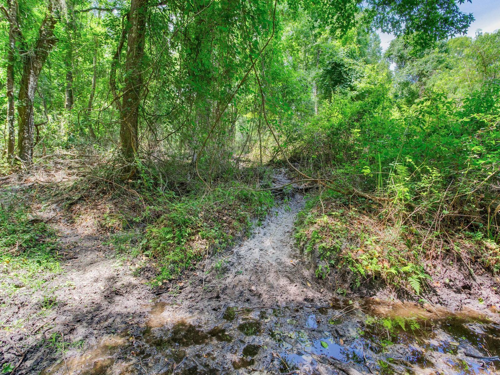 SPRING LAKE HWY, BROOKSVILLE, FL, 34602