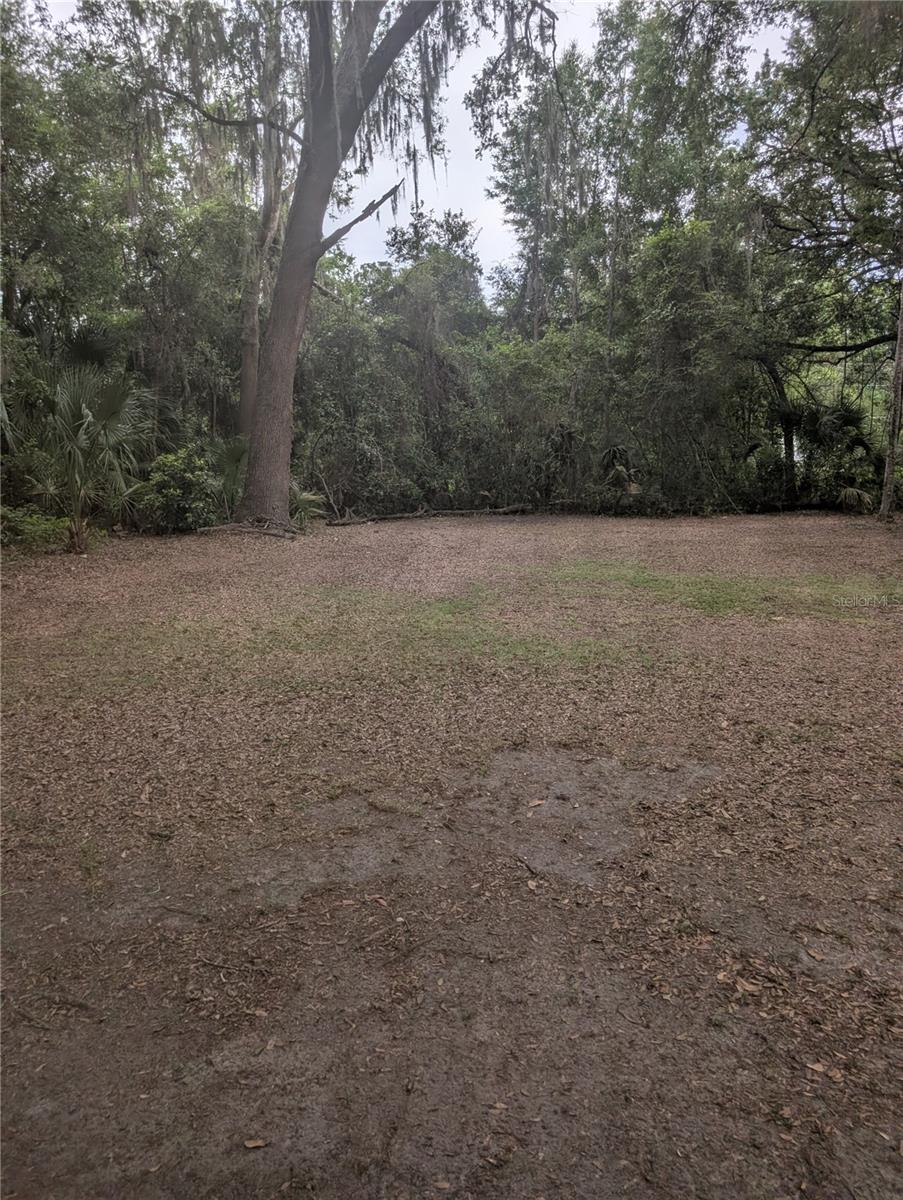 25007 NW 6TH AVE, NEWBERRY, FL, 32669