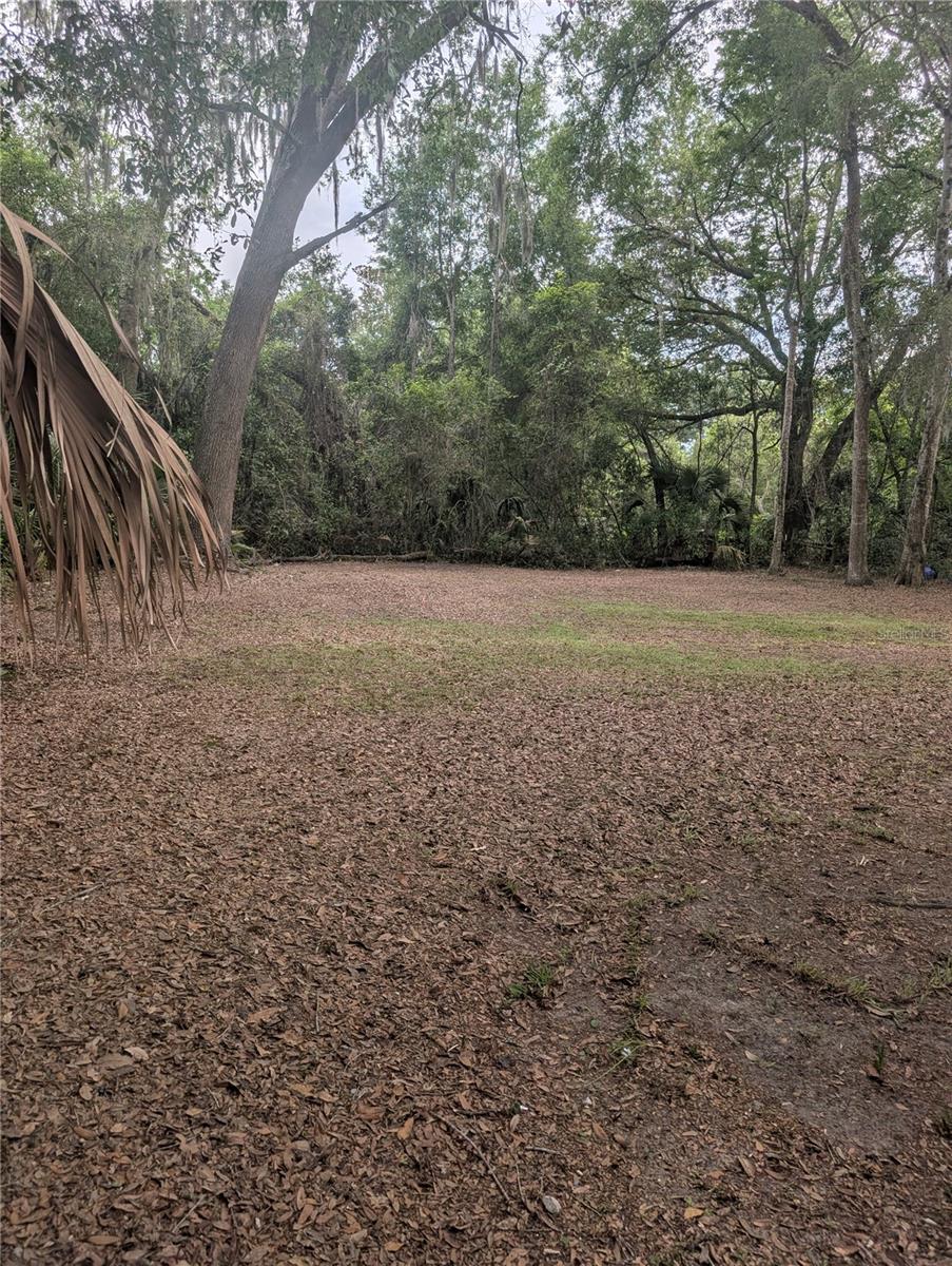 25007 NW 6TH AVE, NEWBERRY, FL, 32669