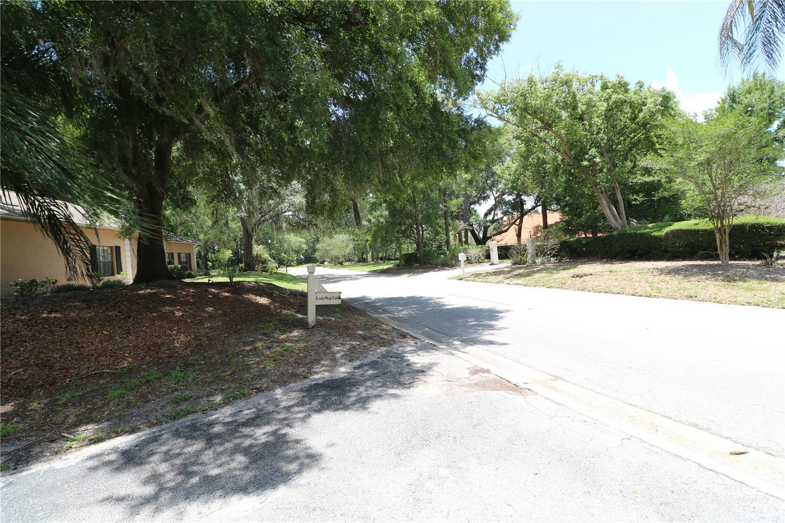 5439 LADY BUG LN #2, WESLEY CHAPEL, FL, 33543