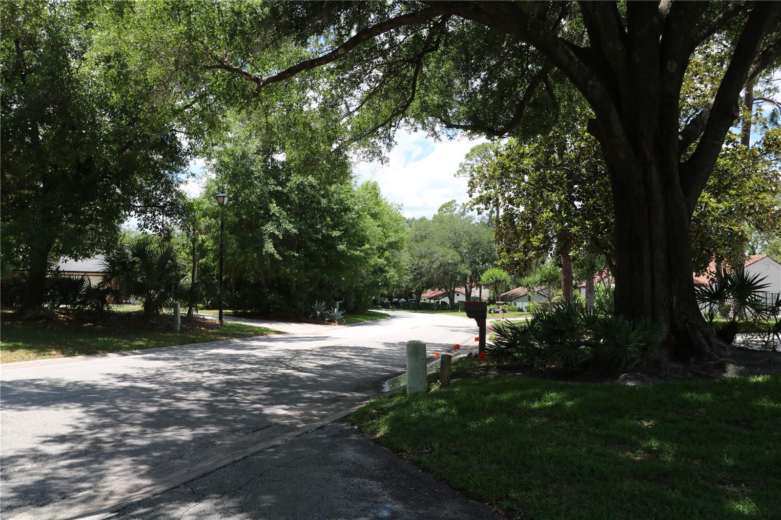 5439 LADY BUG LN #2, WESLEY CHAPEL, FL, 33543