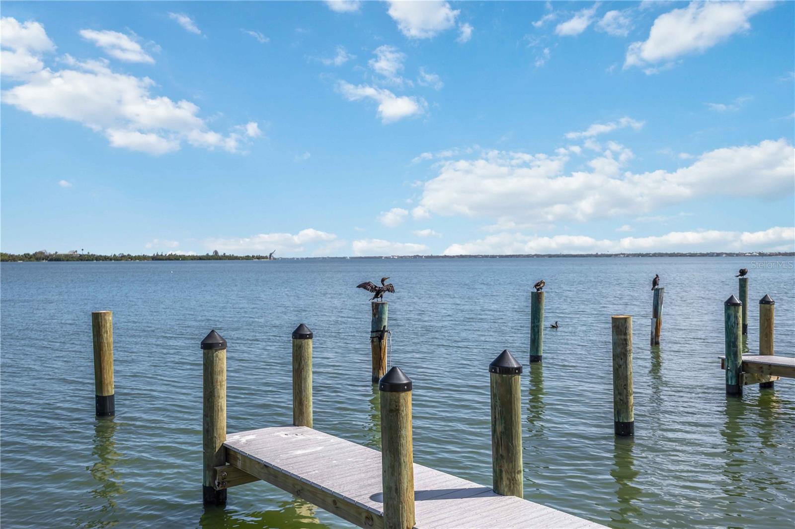 765 JOHN RINGLING BLVD #5, SARASOTA, FL, 34236