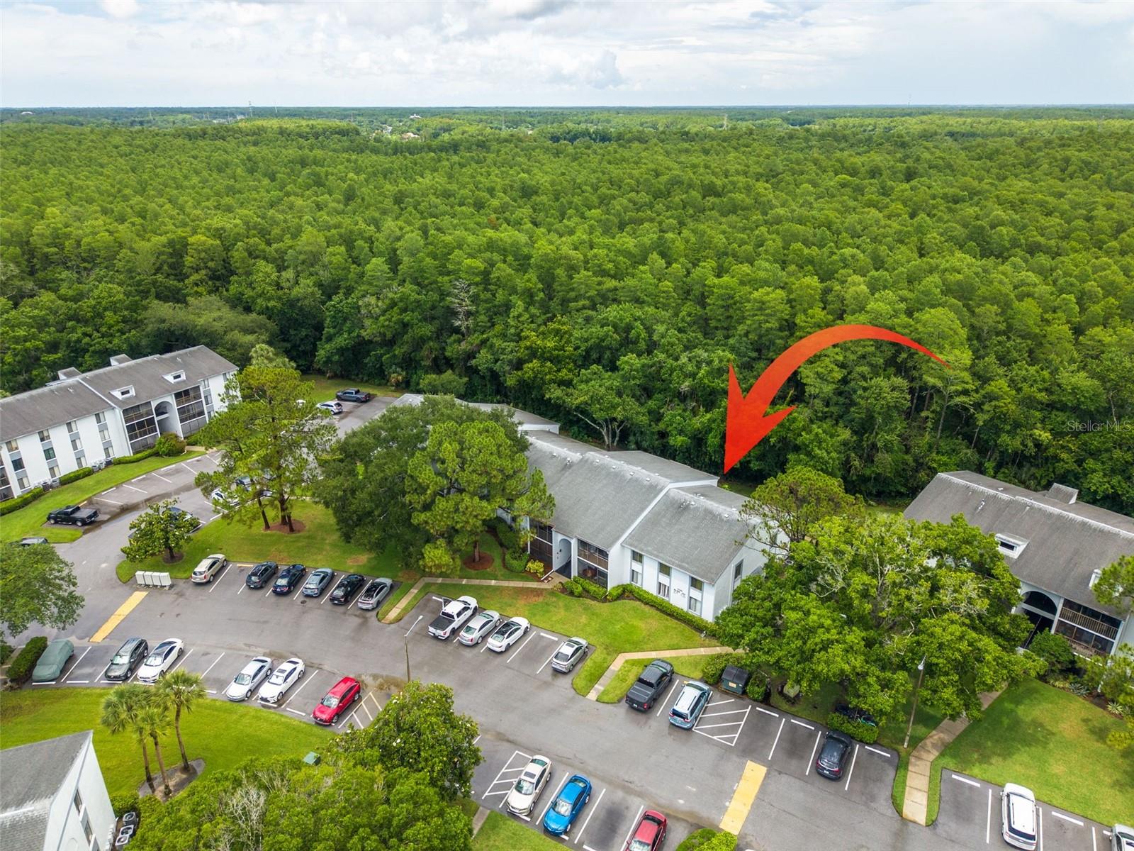 1326 PINE RIDGE CIR E #G2, TARPON SPRINGS, FL, 34688
