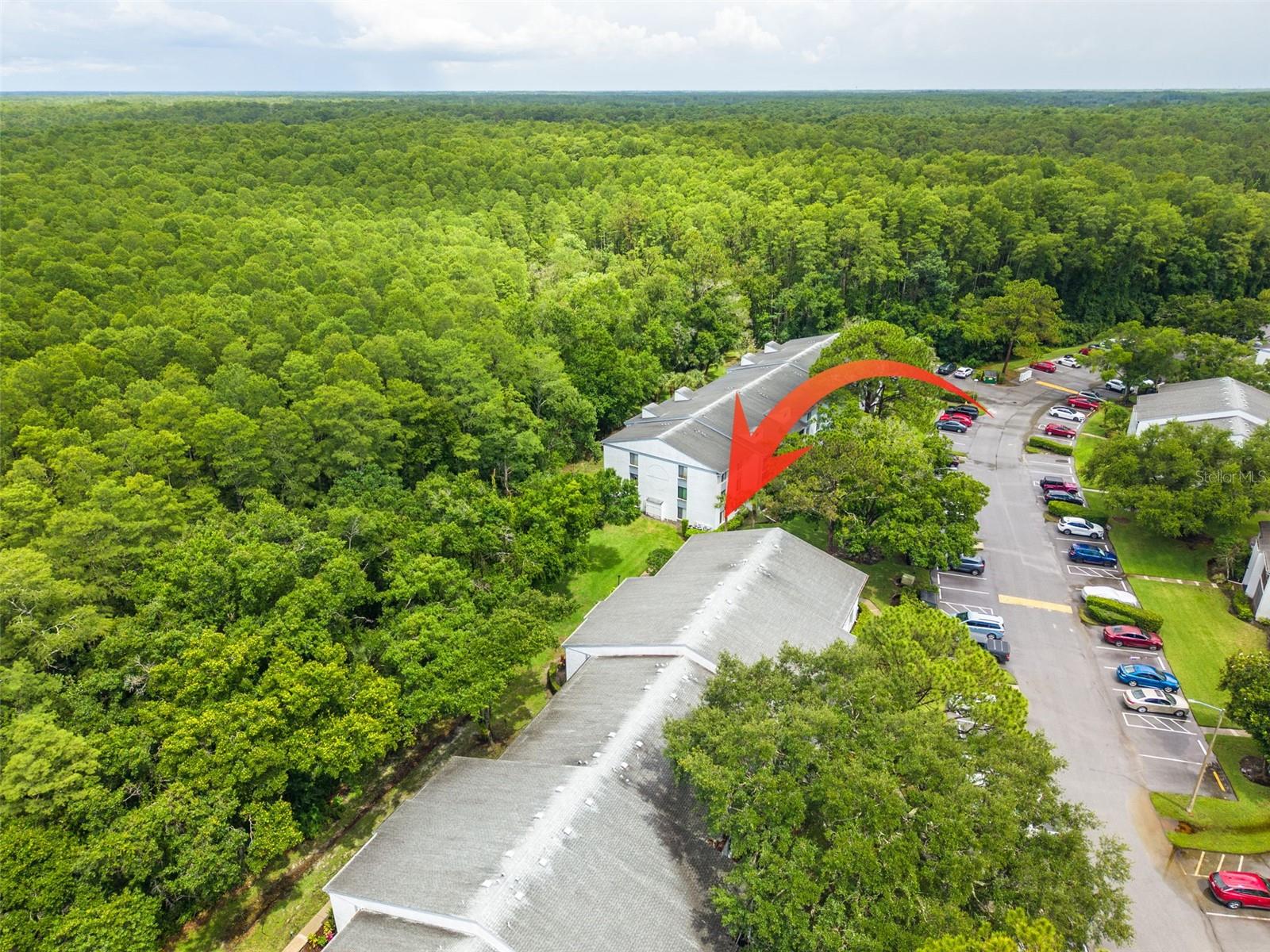 1326 PINE RIDGE CIR E #G2, TARPON SPRINGS, FL, 34688
