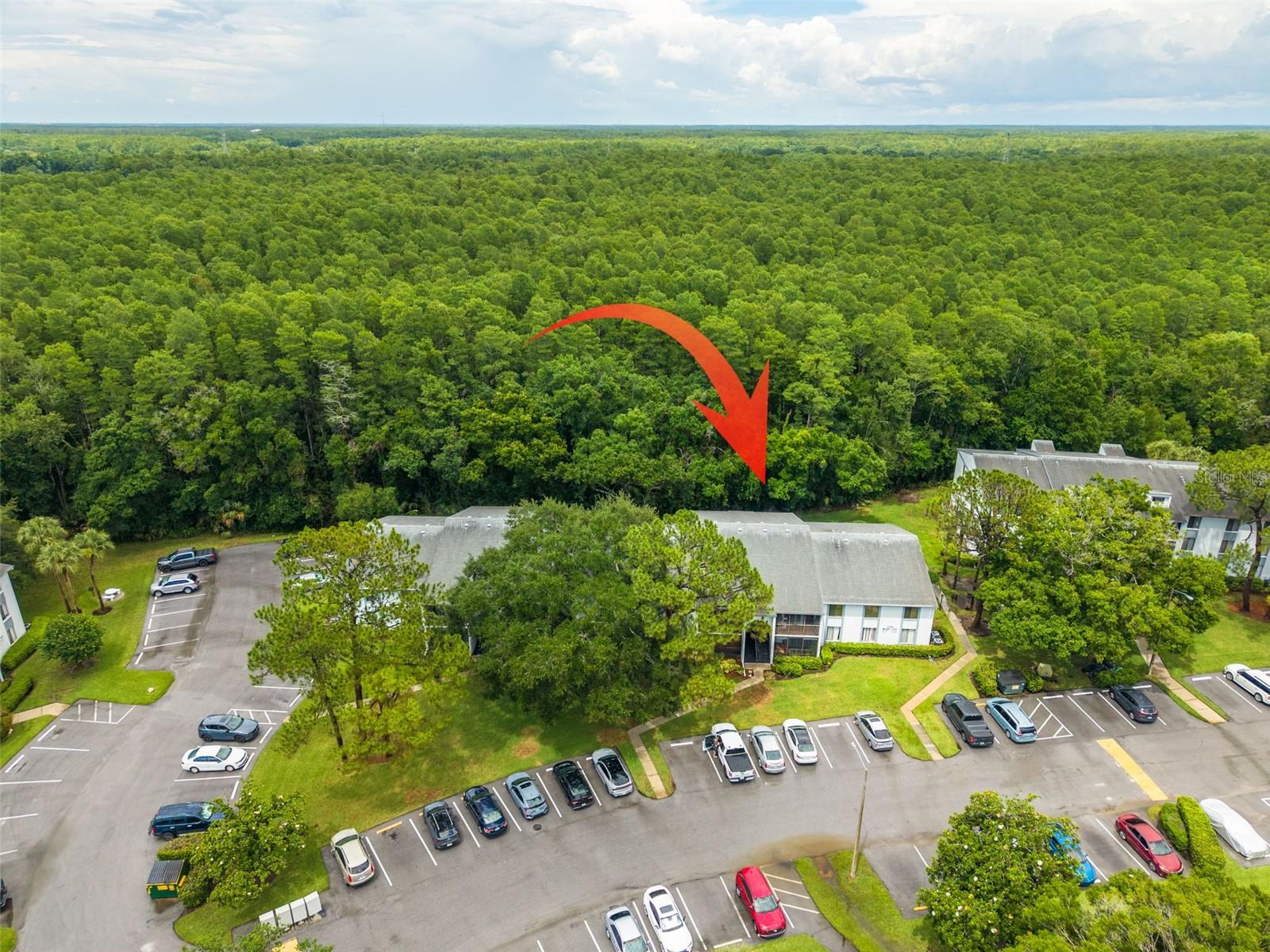 1326 PINE RIDGE CIR E #G2, TARPON SPRINGS, FL, 34688