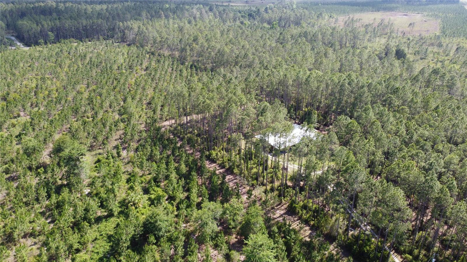 681 S COUNTY ROAD 315, INTERLACHEN, FL, 32148