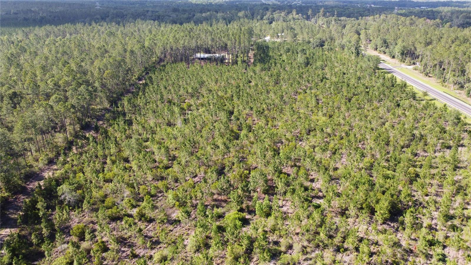 681 S COUNTY ROAD 315, INTERLACHEN, FL, 32148