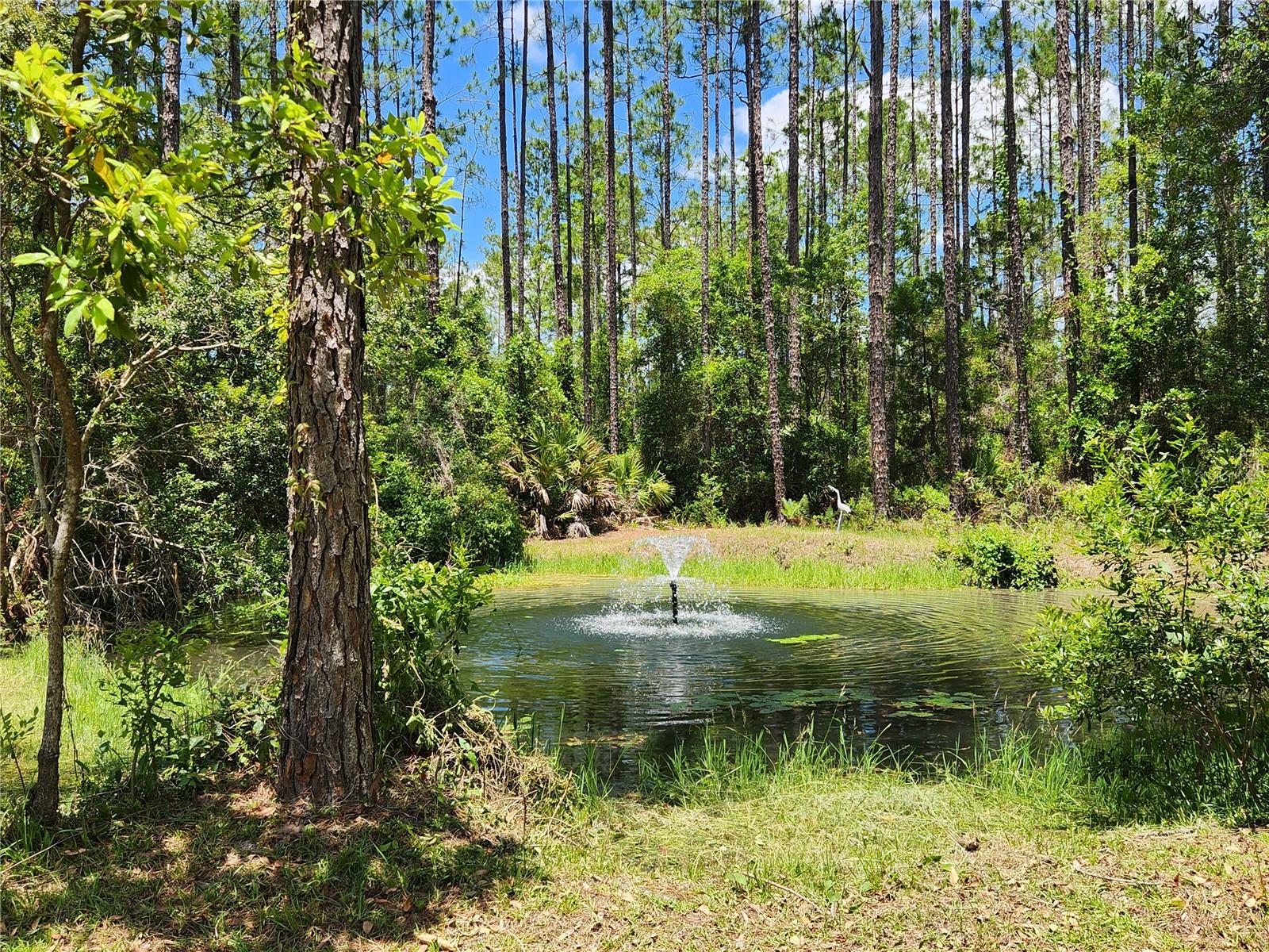 681 S COUNTY ROAD 315, INTERLACHEN, FL, 32148