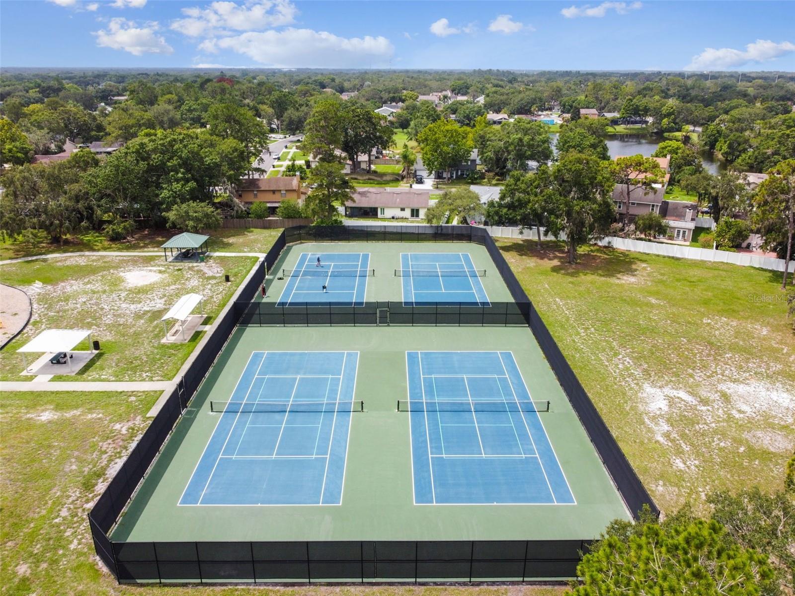 4009 ORANGEFIELD PL, VALRICO, FL, 33596