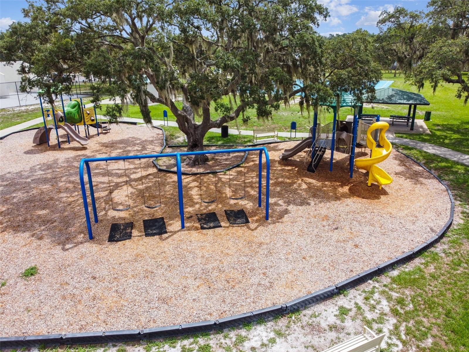 4009 ORANGEFIELD PL, VALRICO, FL, 33596