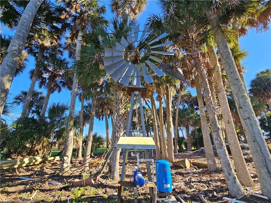 320 GRIGSBY RD, VENUS, FL, 33960