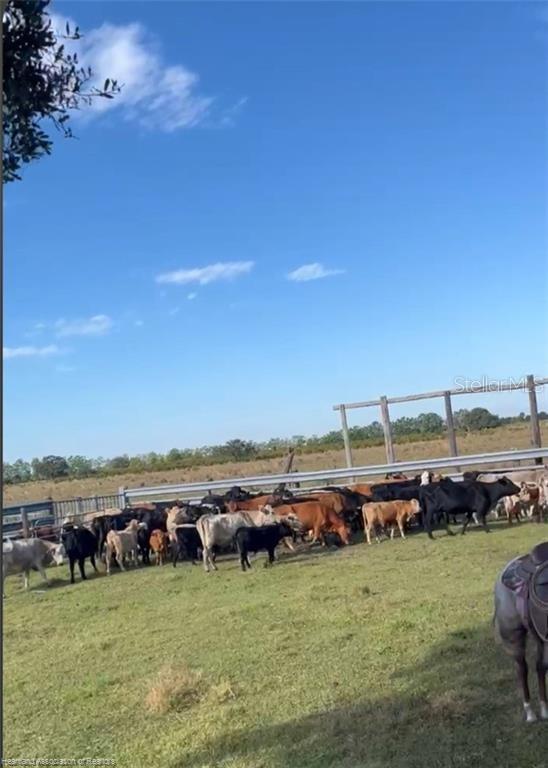 320 GRIGSBY RD, VENUS, FL, 33960