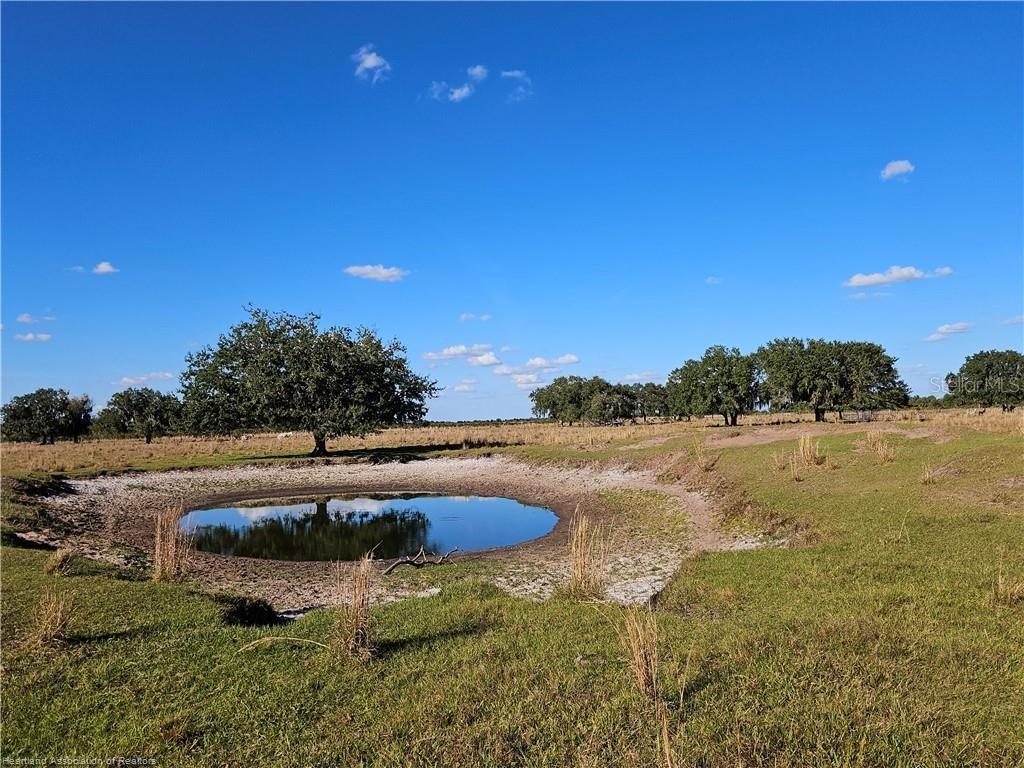 320 GRIGSBY RD, VENUS, FL, 33960