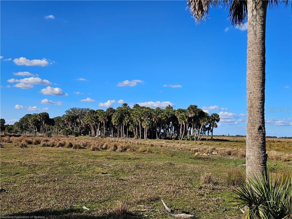 320 GRIGSBY RD, VENUS, FL, 33960