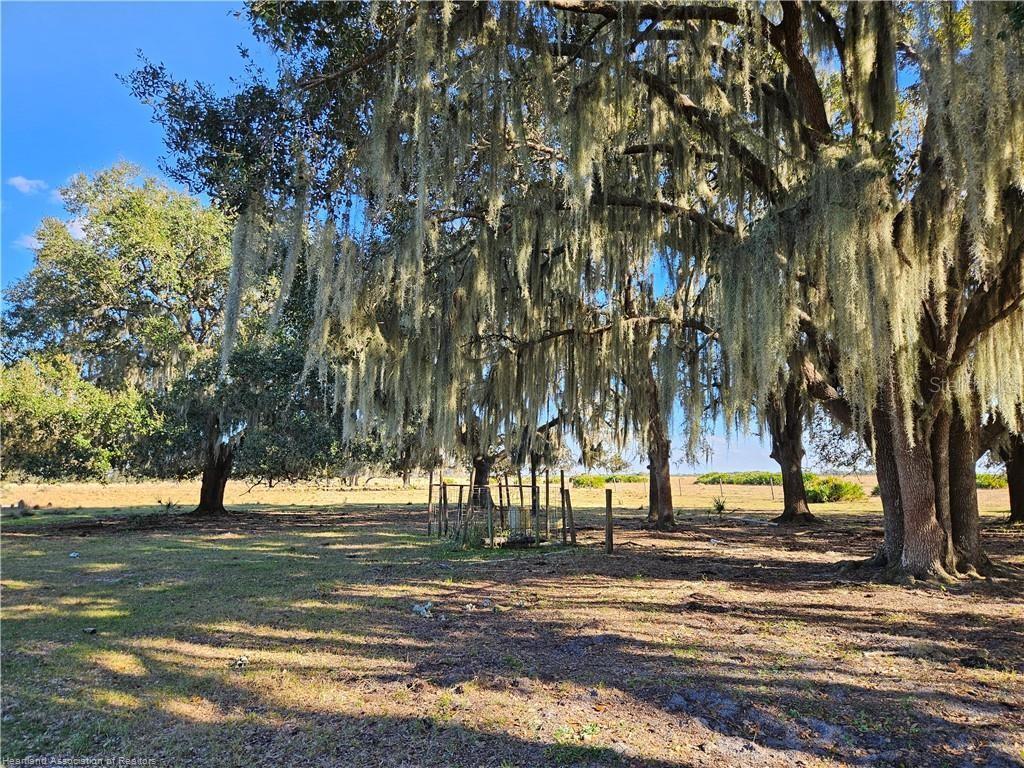 320 GRIGSBY RD, VENUS, FL, 33960
